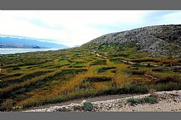 Novalja - Pag - Košljun - 6